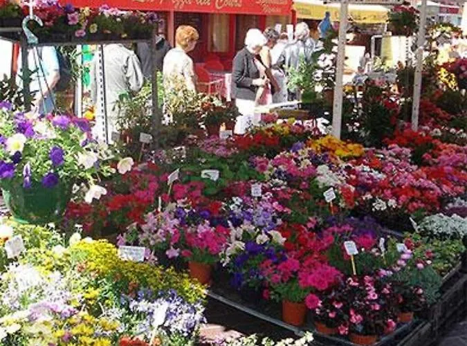 Providence - Elegant F3, Vue Incroyable, Balcon,ascenseur, Wifi *